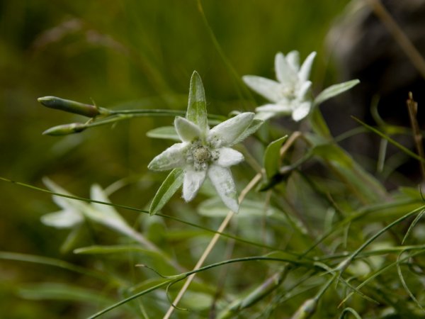 _bla0813_1_.jpg _bla0813_1_.jpg