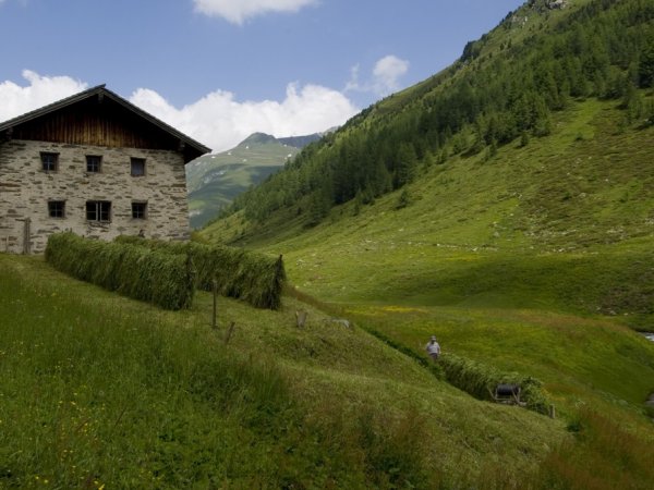 _bla1025.jpg _bla1025.jpg