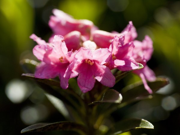 _bla9907.jpg _bla9907.jpg