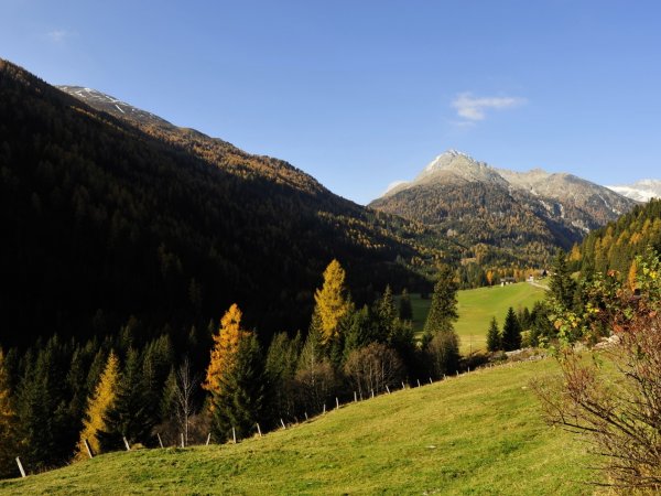 _pbl1573_1_.jpg _pbl1573_1_.jpg