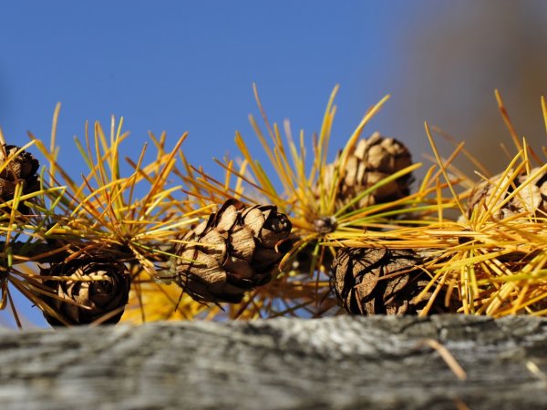 _pbl1688_1_.jpg _pbl1688_1_.jpg