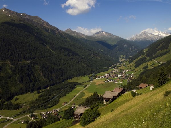 _pet4745.jpg _pet4745.jpg