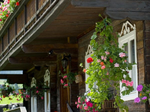 _pet4959.jpg _pet4959.jpg