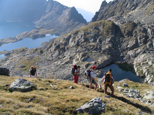 passler_sommer_-_02.jpg