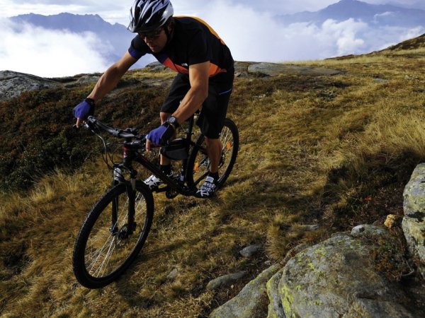 passler_sommer_-_38.jpg passler_sommer_-_38.jpg